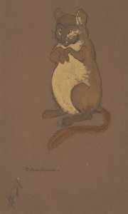 एलिस-इन-वंडरलैंड, 1915 के लिए डोरमाउस पोशाक डिजाइन।