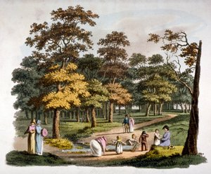 हाइड पार्क, वेस्टमिंस्टर, लंदन में 'डुबकी' कुएं का दृश्य, c1810