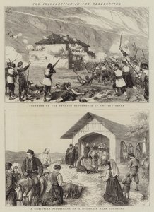 हर्ज़ेगोविना में विद्रोह