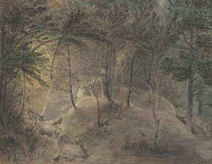 इको में स्प्रिंगहाउस से दृश्य, c.1808 (वाटर पेपर और स्याही पेपर पर स्याही)