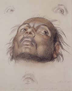 पूर्व भारतीय प्रमुख का अध्ययन, c.1875 (कागज पर क्रेयॉन और वॉश) द्वारा विलियम स्ट्रैट
