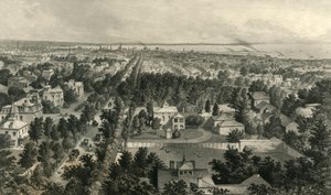 भैंस का शहर, 1872। द्वारा विलियम वेलस्टूड