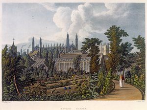 जोसफ कॉन्स्टेंटाइन स्टैडलर (fl.1780-1812), पब द्वारा उत्कीर्ण &39;द हिस्ट्री ऑफ कैंब्रिज&39; से बॉटनिकल गार्डन, कैम्ब्रिज आर। एकरमैन द्वारा, 1815 (रंग जलीय)