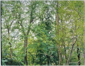  द्वारा विलियम विल्किंस