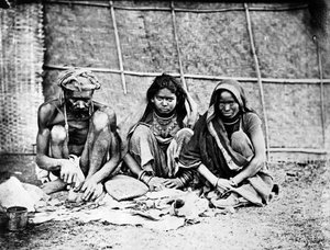 चाई वालेह, &39;भारतीय विषयों की तस्वीरें&39; c.1860s से