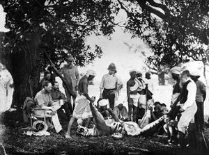 टाइगर स्किनिंग, c.1870s