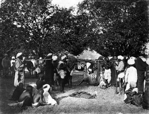 टाइगर हंटिंग इन इंडिया, c.1870s