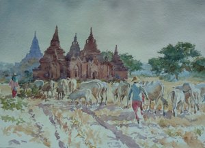 928 बगान, होमगार्ड हेरिंग द्वारा विल्सन क्लाइव