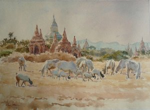 931 टुडे श्वसेंडॉ द्वारा विल्सन क्लाइव