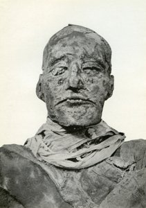 रमेस III की ममी के प्रमुख, 20 वीं राजवंश के प्राचीन मिस्र के फिरौन, c1156 ईसा पूर्व 1926 द्वारा विनफ्रेड मेबेल ब्रंटन