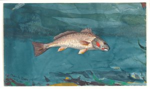  द्वारा विंसलो होमर