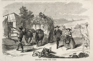 ड्राइविंग होम द कॉर्न, 1858। द्वारा विंसलो होमर