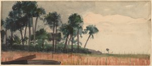 ताड़ के पेड़, लाल, 1890। द्वारा विंसलो होमर