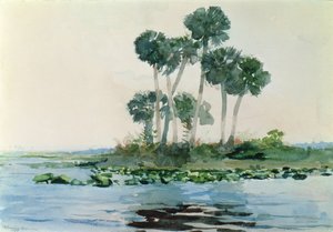 सेंट जॉन नदी, फ्लोरिडा, 1890 द्वारा विंसलो होमर