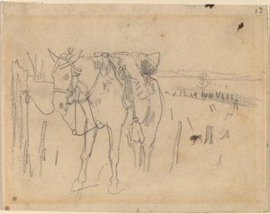 टेथर्ड, 1864। द्वारा विंसलो होमर