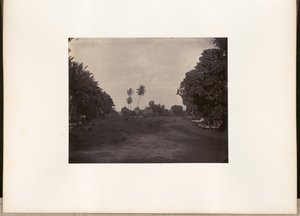  द्वारा वुडबरी और पेज