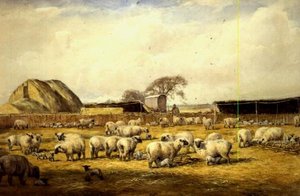  द्वारा वाईक्लिफ एगिन्टन