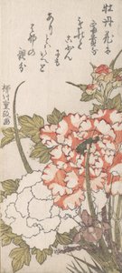 Peonies और आइरिस, 18 वीं -19 वीं सदी। द्वारा यानागावा शिगेमासा
