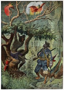 स्वर्ग की चिड़िया द्वारा . .