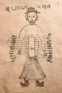 पारंपरिक वियतनामी चिकित्सा संग्रहालय, चैनल और जहाजों, एक्यूपंक्चर की पुस्तक, हो ची मिन्ह सिटी, वियतनाम