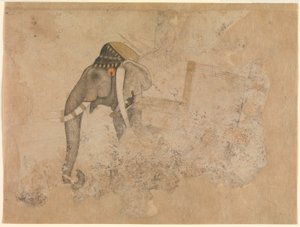  द्वारा हाशिम