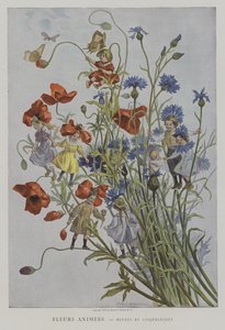 फ्लेम एनीमे। Bluets et Coquelicots। (एनिमेटेड फूल: कॉर्नफ्लॉवर और पॉपपीज़)