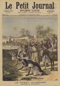 अल्जीरियाई प्लेग