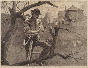 स्प्रिंग फार्म कार्य - ग्राफ्टिंग द्वारा Winslow Homer