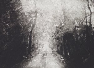 समानांतर, 2016, पेपर पर नक़्क़ाशी और जलसेतु द्वारा एंगस हैम्पल