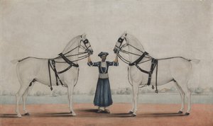 एक साइस दूल्हा दो कैरिज घोड़ों को पकड़े हुए, सीए। 1845. द्वारा कर्रया के शेख मुहम्मद आमिर को जिम्मेदार ठहराया।
