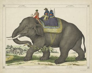  द्वारा कंपनी जोसेफ स्कोल्ज़