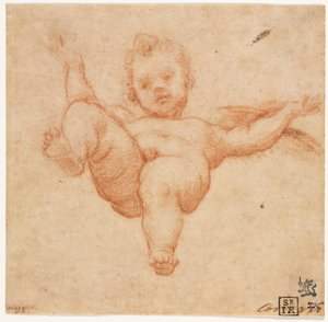 उड़ता कामदेव द्वारा follower of Annibale Carracci