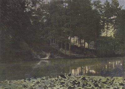 Bois de Boulogne, Le जलाशय (रंगीन फोटो) द्वारा (बाद में) फ्रांसीसी फोटोग्राफर