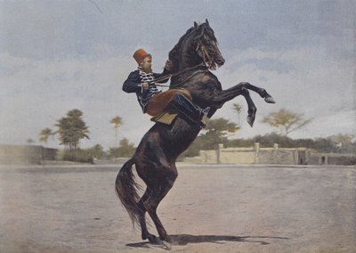 नोस कैवेलियर्स (रंगीन फोटो) द्वारा (बाद में) फ्रांसीसी फोटोग्राफर