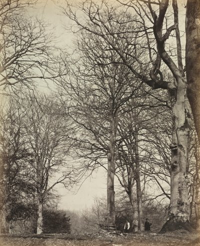 क्वीन एडिलेड बीच, 1864 से पहले। द्वारा कैथनेस जेम्स सिंक्लेयर के 14वें अर्ल