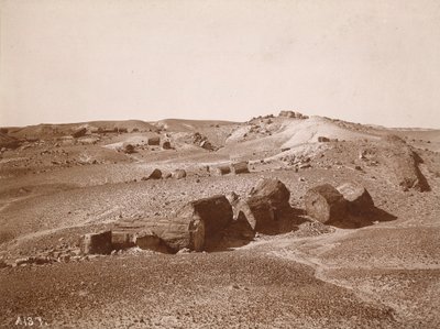 पेट्रिफ़ाइड फ़ॉरेस्ट में (सामान्य दृश्य, मध्य पार्क) द्वारा एसी वोरोमन