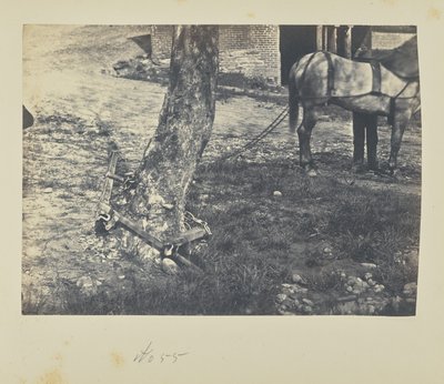  द्वारा एजे रसेल