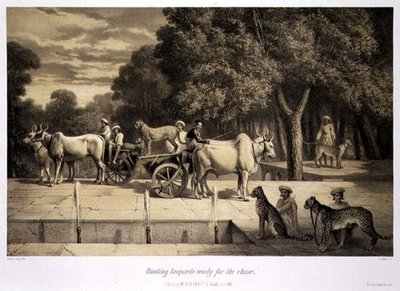 लुई हेनरी डी रुडर (1807-81) पब द्वारा उकेरी गई 'वॉयज इन इंडिया' से शिकार के लिए तैयार तेंदुए का शिकार। लंदन में द्वारा ए। (बाद) सोल्टीकोफ