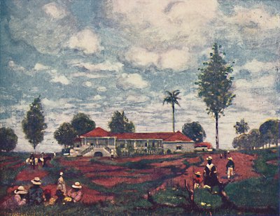एक कॉफी फार्म, 1916 द्वारा एएस फॉरेस्ट