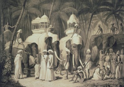 लुइस हेनरी डी रूडर (1807-81) द्वारा उत्कीर्ण &39;वॉयज इन इंडिया&39; से त्रावन्द्रम के राजा के हाथी द्वारा ए। सोल्टीकोफ