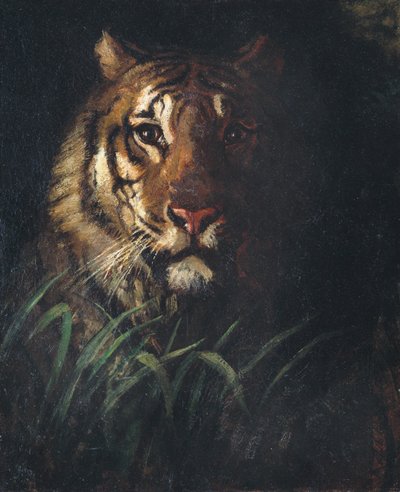 टाइगर का सिर, सीए। 1874. द्वारा Abbott Handerson Thayer