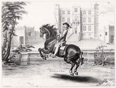 राइडिंग मैनुअल से चित्रण, Peeter Clouwet (1629-70), 1658 द्वारा उकेरा गया द्वारा अब्राहम जंज़। डाइनेपिबेक के बाद वैन