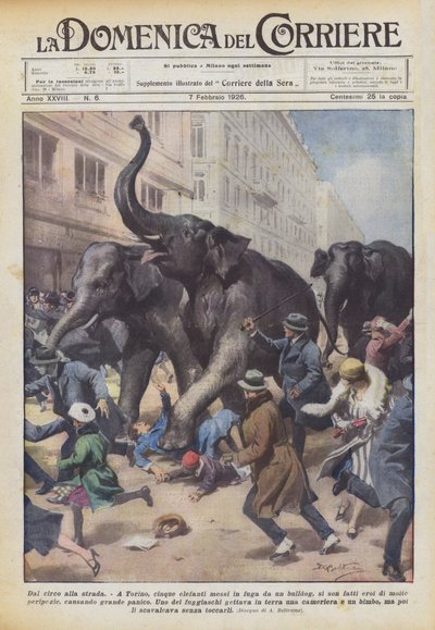 सर्कस से लेकर गली तक द्वारा Achille Beltrame