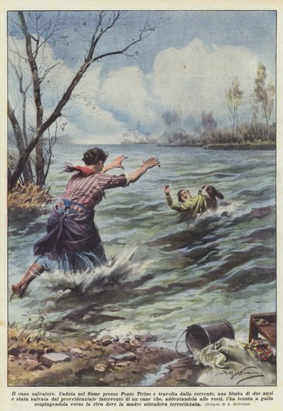 बचाने वाला कुत्ता द्वारा Achille Beltrame