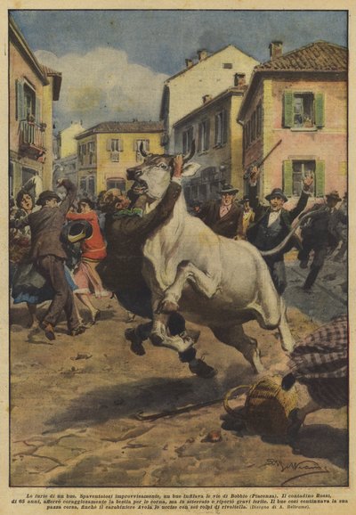 एक बैल का रोष द्वारा Achille Beltrame