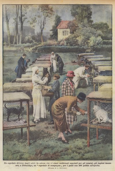 दूसरों से अलग एक अस्पताल द्वारा Achille Beltrame