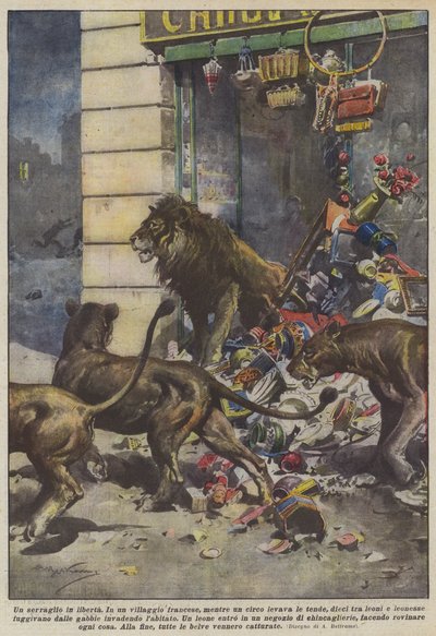 एक नि: शुल्क menagerie द्वारा Achille Beltrame