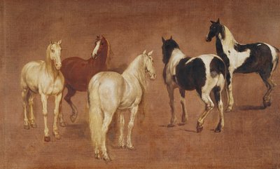 पाँच घोड़ों का अध्ययन द्वारा Adam Frans van der Meulen