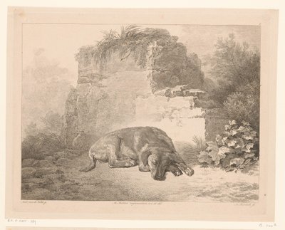  द्वारा मार्टिन वॉन मोलिटर