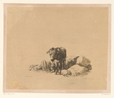  द्वारा जोहान Melchior Roos